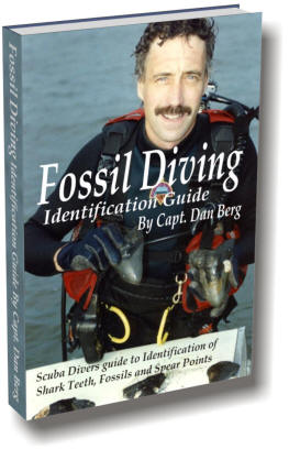 fossil diving and shark relect handbook from www.maritimegifts.com photo