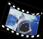 sealand.tv movies and videos nautical gifts ocean and sea