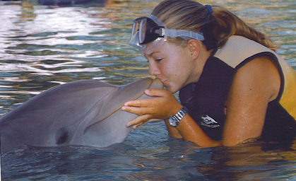 sealand ocean gift shipmate and dolphin